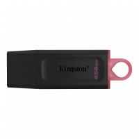  Kingston DTX/256GB, 256GB