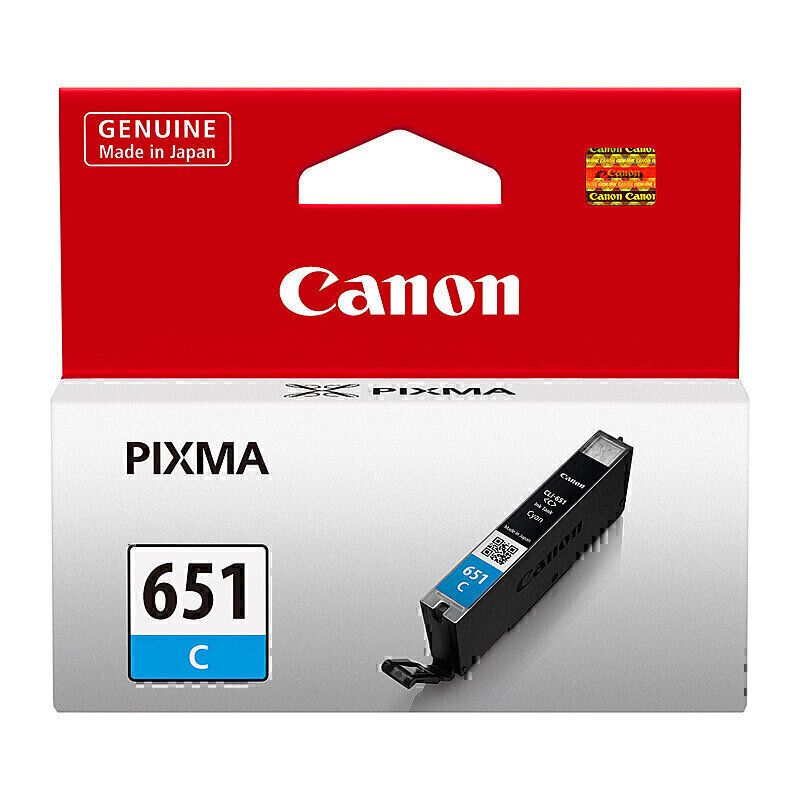 Canon Ink Cartridges CI651C