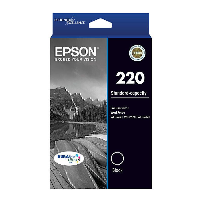 Epson Ink Cartridges E220B
