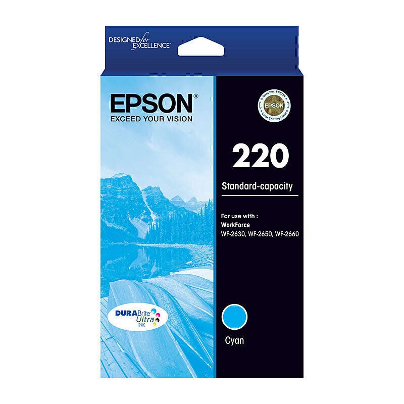 Epson Ink Cartridges E220C