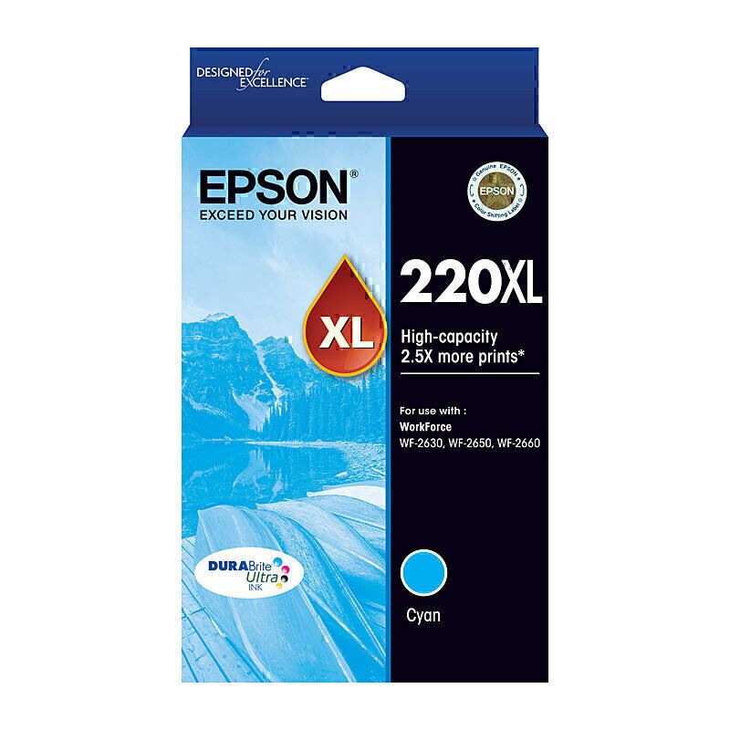 Epson Ink Cartridges E220CXL