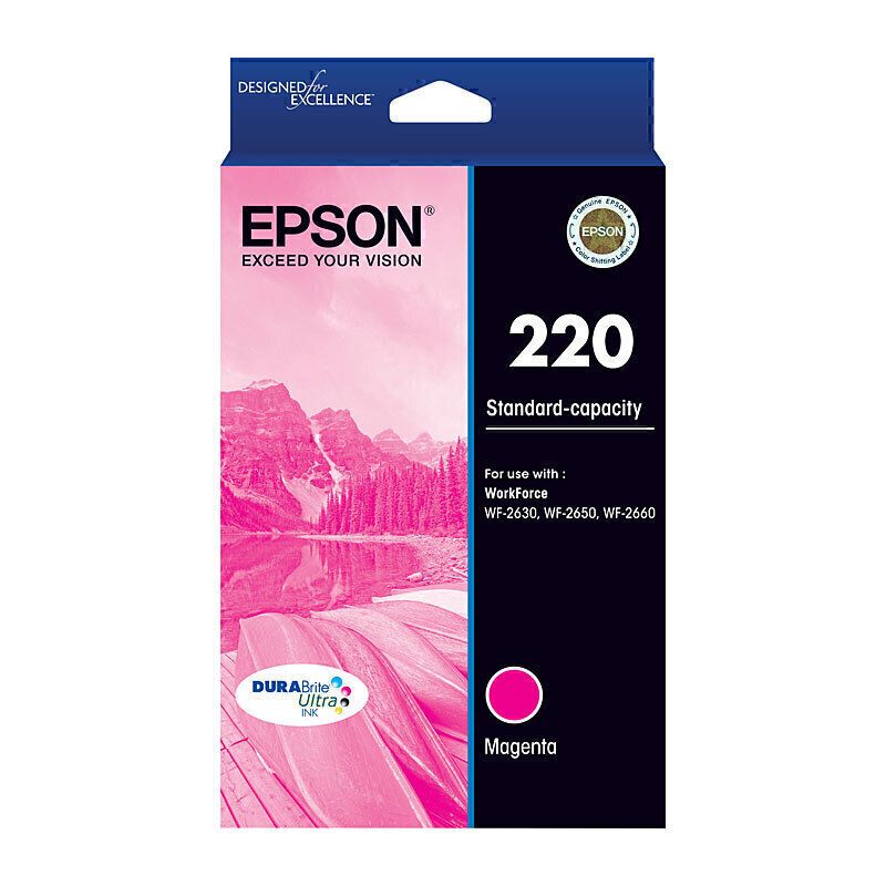 Epson Ink Cartridges E220M
