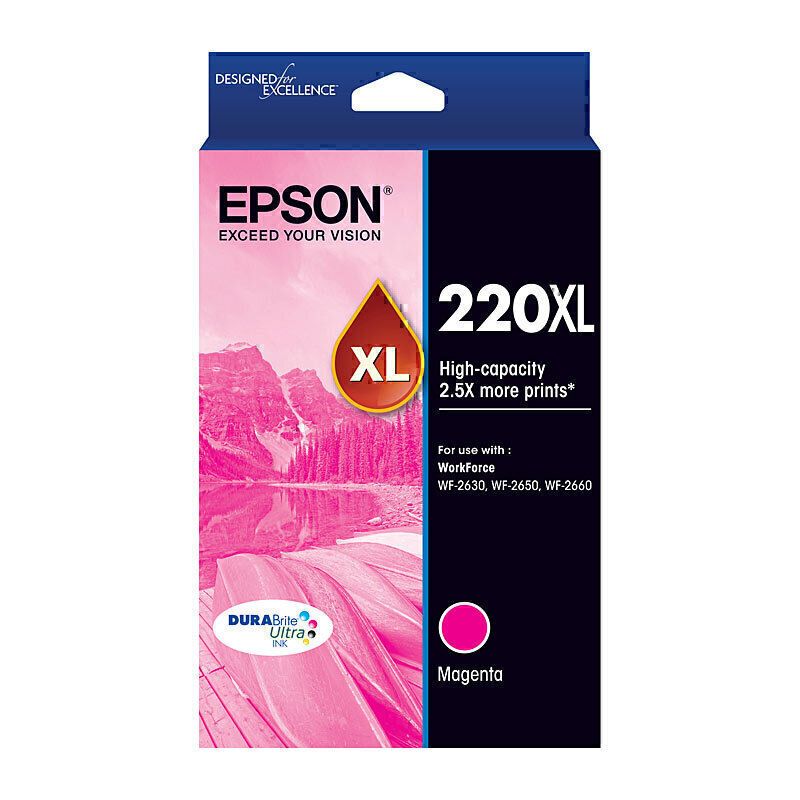 Epson Ink Cartridges E220MXL