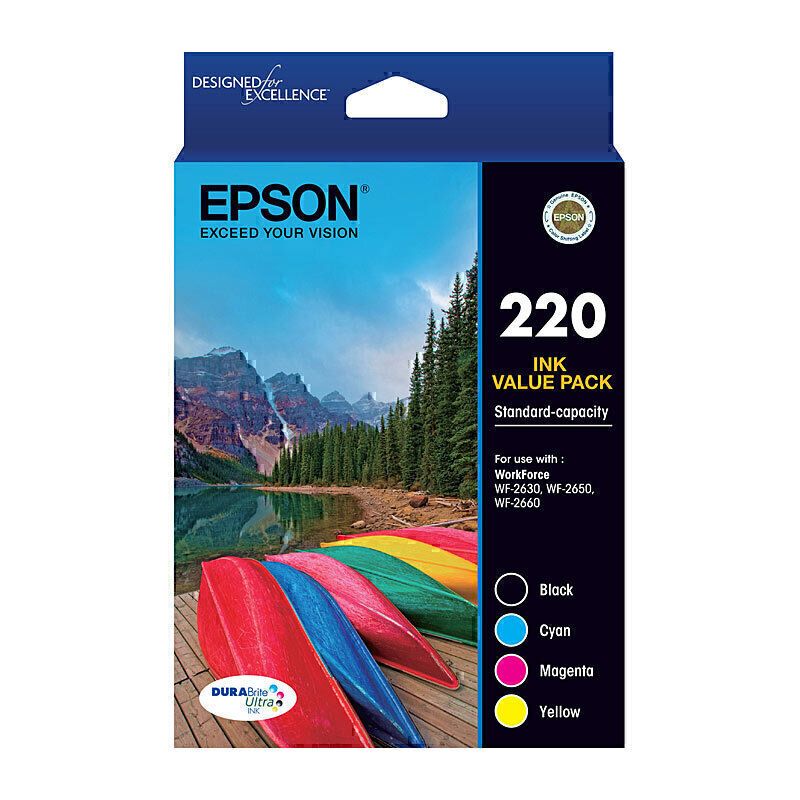 Epson Ink Cartridges E220VP