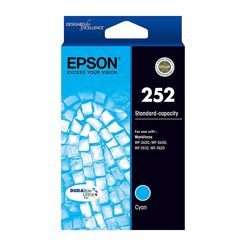 Epson Ink Cartridges E252C