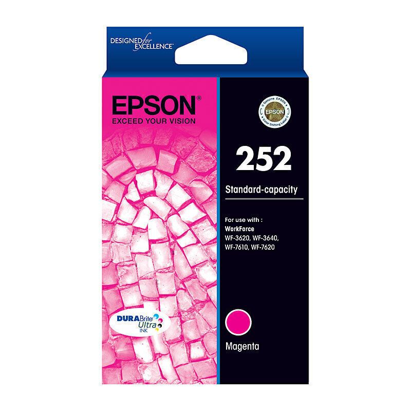 Epson Ink Cartridges E252M