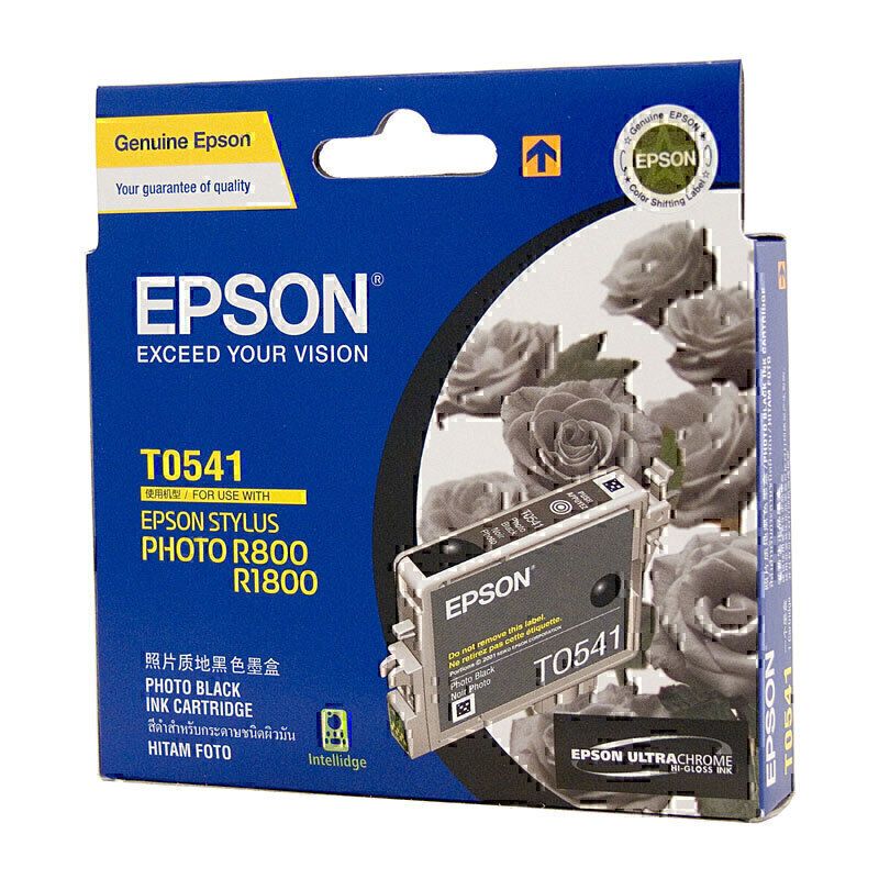 Epson Ink Cartridges E541