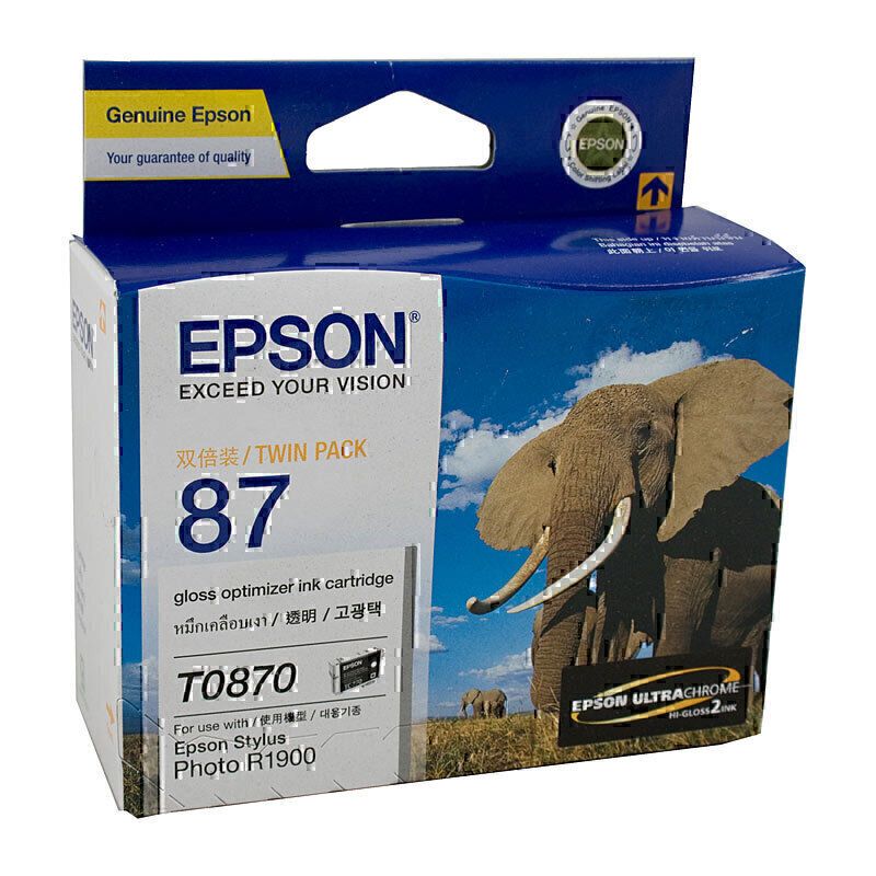 Epson Ink Cartridges E870