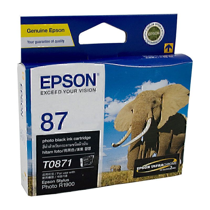 Epson Ink Cartridges E871