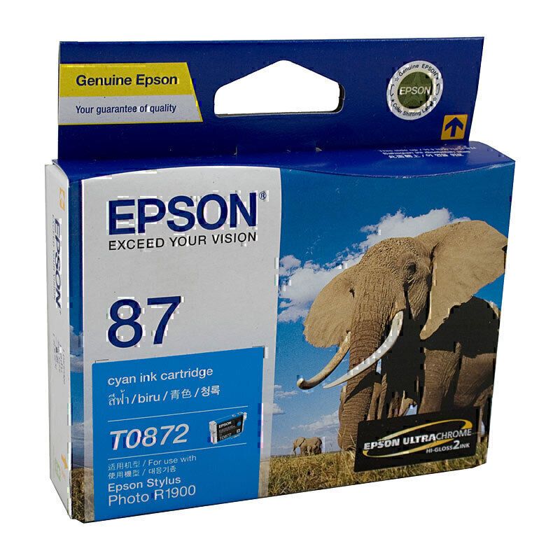 Epson Ink Cartridges E872