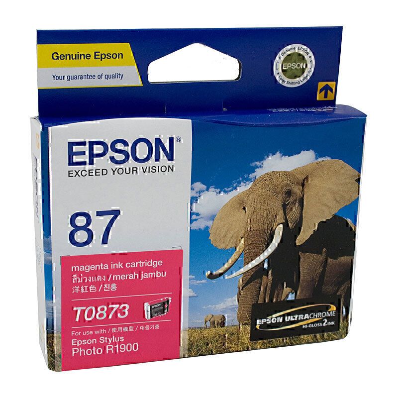 Epson Ink Cartridges E873