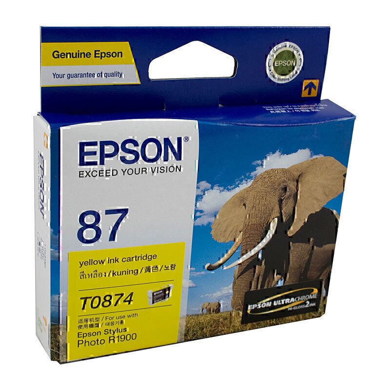 Epson Ink Cartridges E874