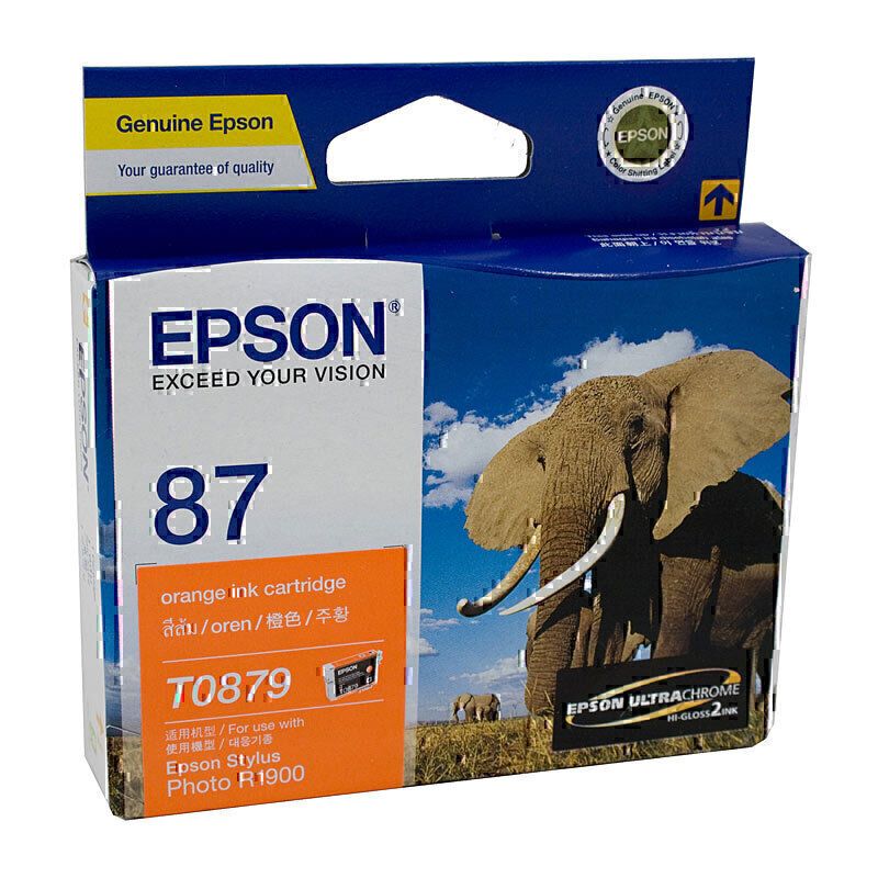 Epson Ink Cartridges E879